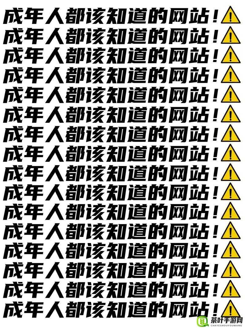 有成人网站吗？探寻网络世界中的神秘存在