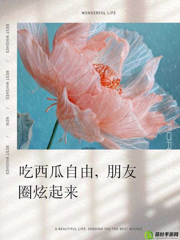 17 一起吃瓜：分享甜蜜时刻，畅聊生活趣事