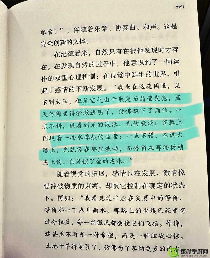 成人小说阅读网：探索亚洲综合小说的奇妙世界