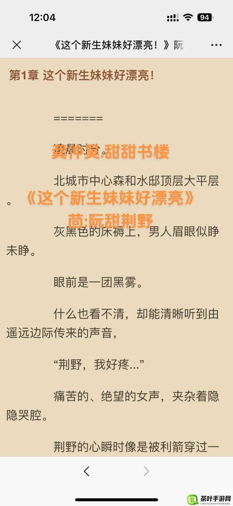 阮甜攻略 rb 优质系统游戏小说：看阮甜如何在游戏中披荆斩棘