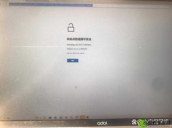 不受国内限制的浏览器：安全、自由的互联网访问工具