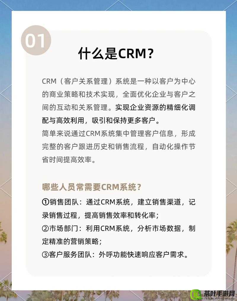 国外在线 CRM 系统：助力企业高效管理与客户关系维护