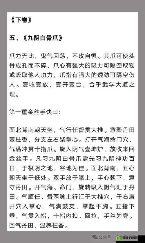 九阴真经手游新手必备，全面解锁快速升级的高效秘籍与攻略