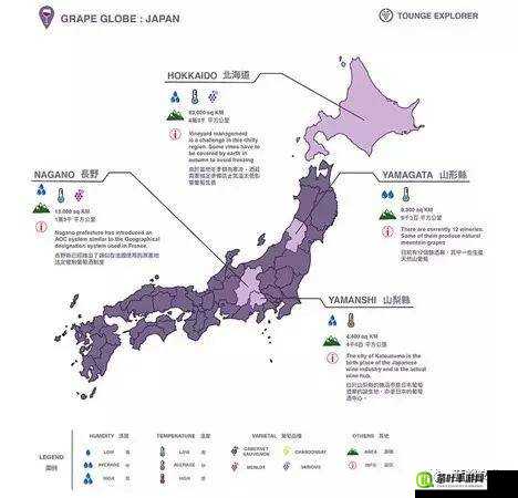 日本一线产区二线产区旅游攻略：深度体验的绝佳指南